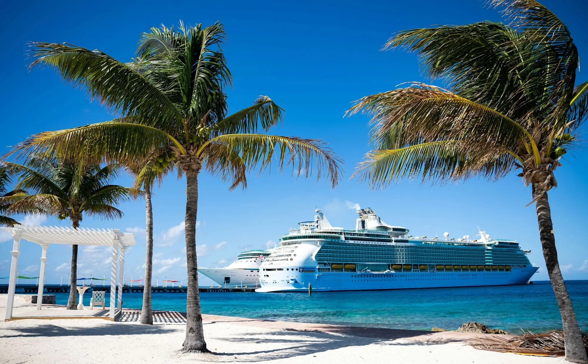 A cruise ship docked beside a palm-lined tropical beach