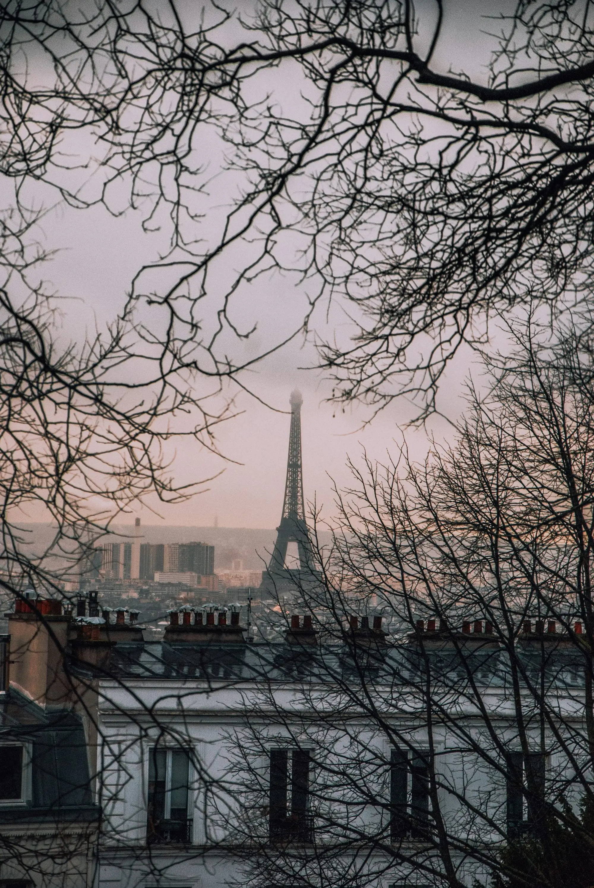 The Eiffel Tower seen through bare winter trees from Montmartre, Paris